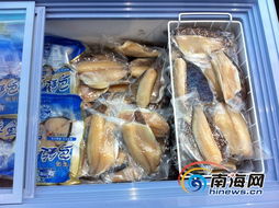 海南水產品現狀解讀 依賴出口、內銷滯后，亟待轉型升級